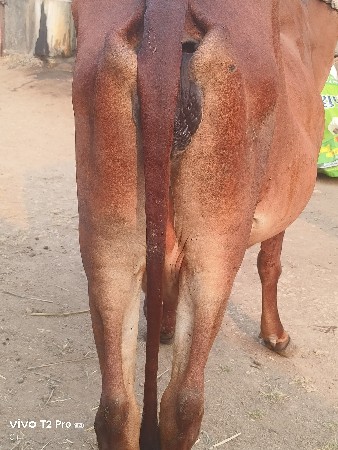 थंबनेल 2