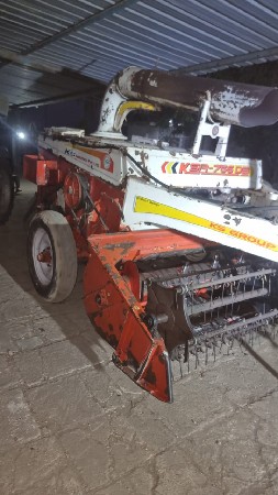 थंबनेल 3