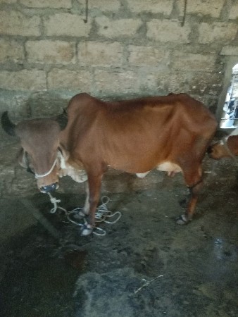 थंबनेल 2