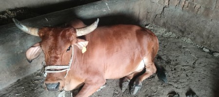 थंबनेल 2