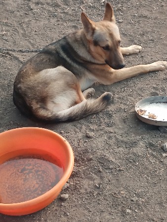 થંબનેલ 3