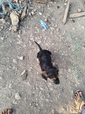 थंबनेल 3