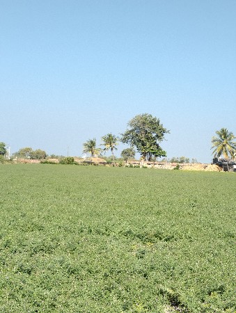 વેચવાની છે