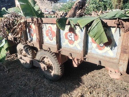 વેસવાનુસે આંખો શેટ ૨૦૨૦ નુમોડલ