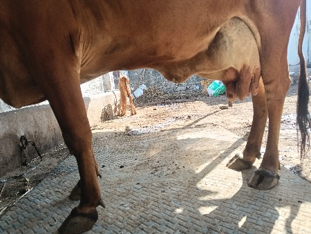 थंबनेल 2