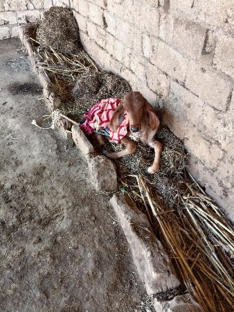 थंबनेल 3