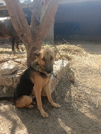 थंबनेल 3