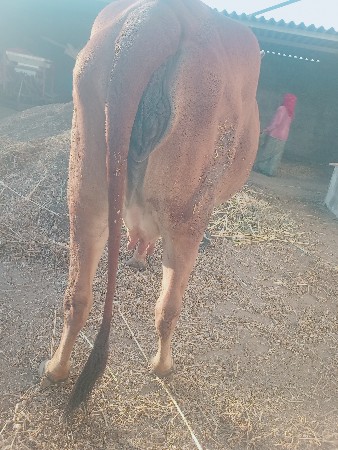 थंबनेल 3