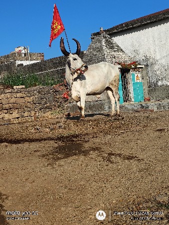 थंबनेल 2