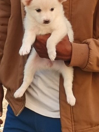 थंबनेल 3