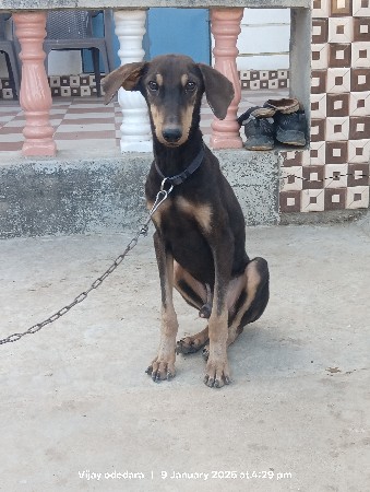 थंबनेल 3