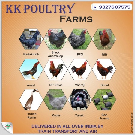 પિયોર સોનાલી