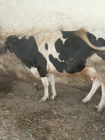 थंबनेल 2