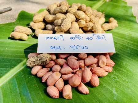 માંડવી વેસવા ની સે 
બિયારણ મા