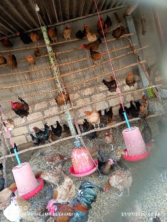 थंबनेल 2