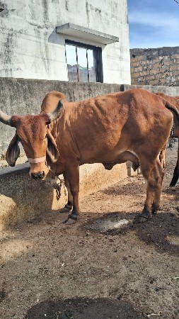 30 દિવસ ની વાર છે