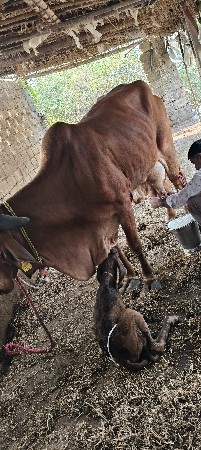 थंबनेल 2