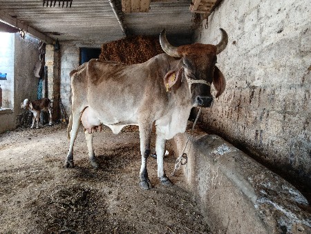 थंबनेल 2