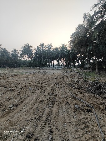 બિનખેતી જમીન ભાડેથી આપવાની છે