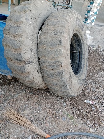 થંબનેલ 2