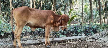 थंबनेल 2