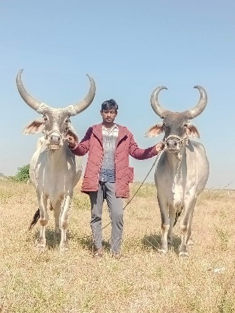 थंबनेल 2