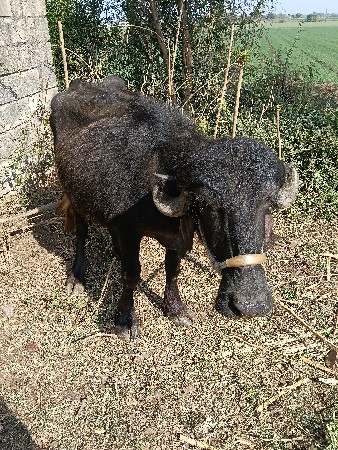 थंबनेल 2