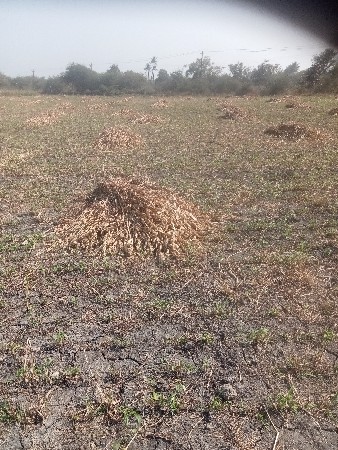 જીણાભાઇ રામભાઈ મોરાસિયા ભુવાવાડા