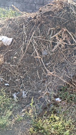 ખાતર ચણિય