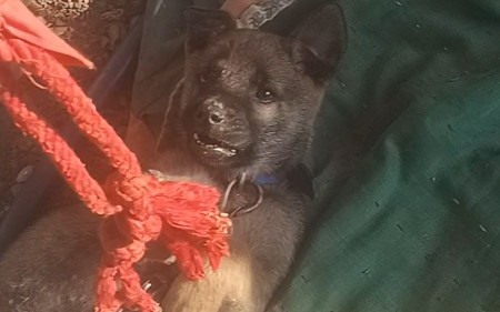 थंबनेल 2