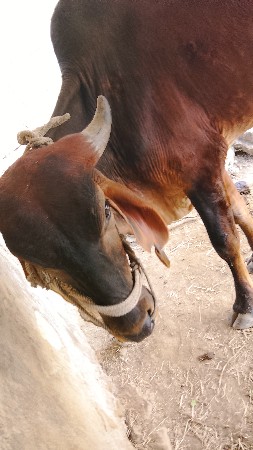 थंबनेल 3