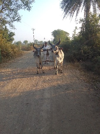 थंबनेल 3