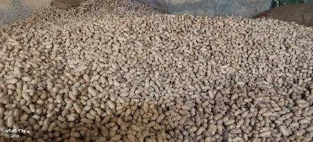 ગિરનાર 4