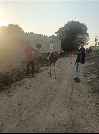 थंबनेल 2