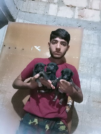 જન્મ સફળ બચા વેચવાના છે