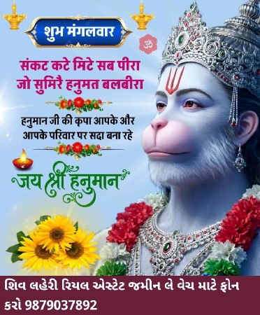 *જમીન લે વેચ માટે સંપર્ક કરો*