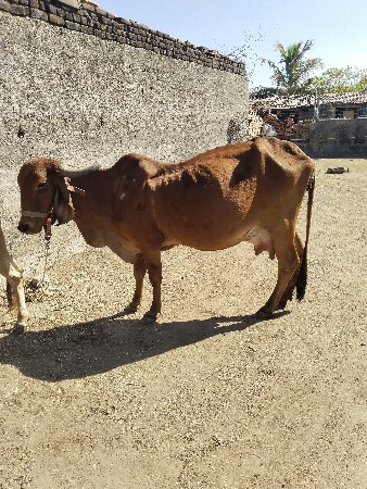 थंबनेल 2