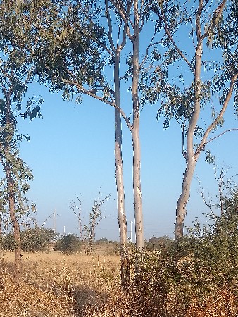 थंबनेल 2