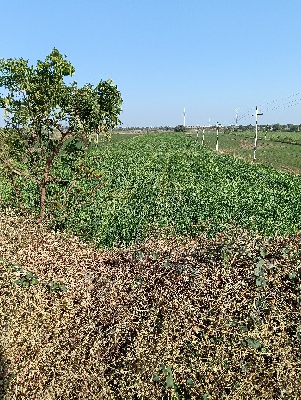 थंबनेल 3