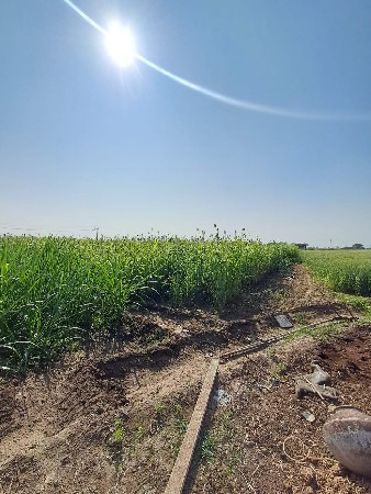 थंबनेल 3