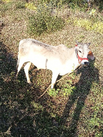 थंबनेल 2