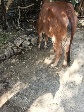 થંબનેલ 3