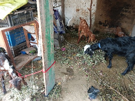 थंबनेल 3