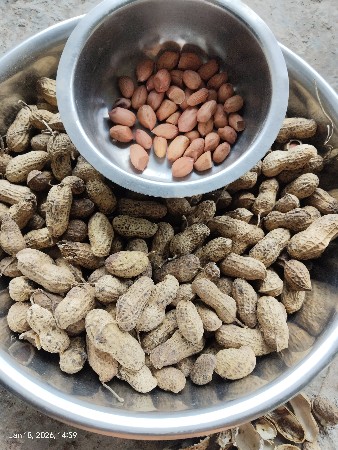 थंबनेल 3