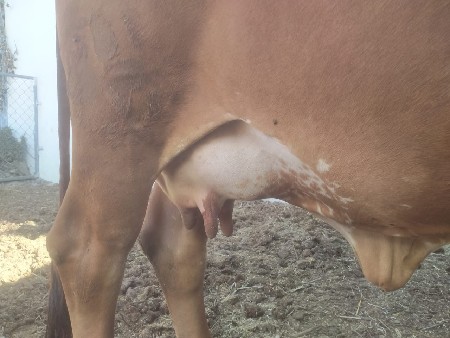 थंबनेल 2