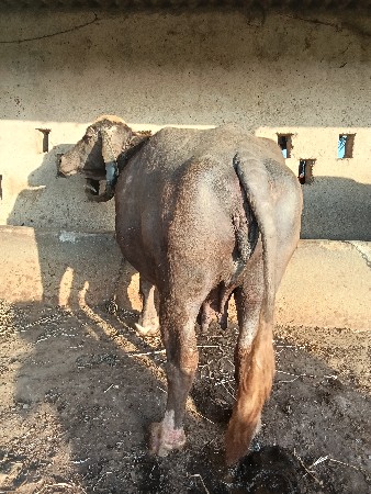 थंबनेल 2