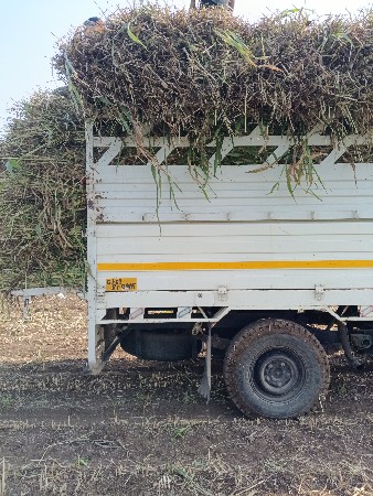 બોલેરો ટાયર