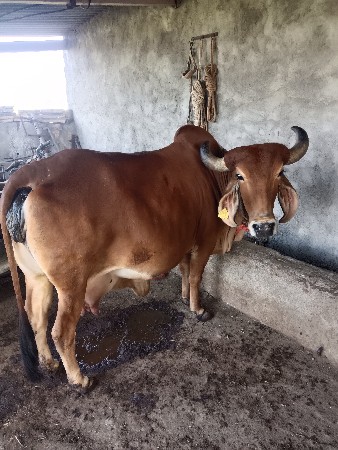 थंबनेल 3