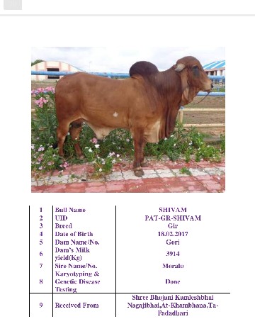 थंबनेल 4