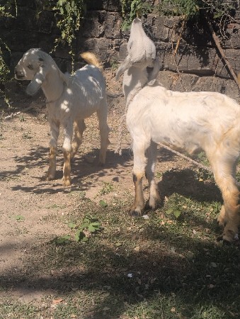 थंबनेल 2